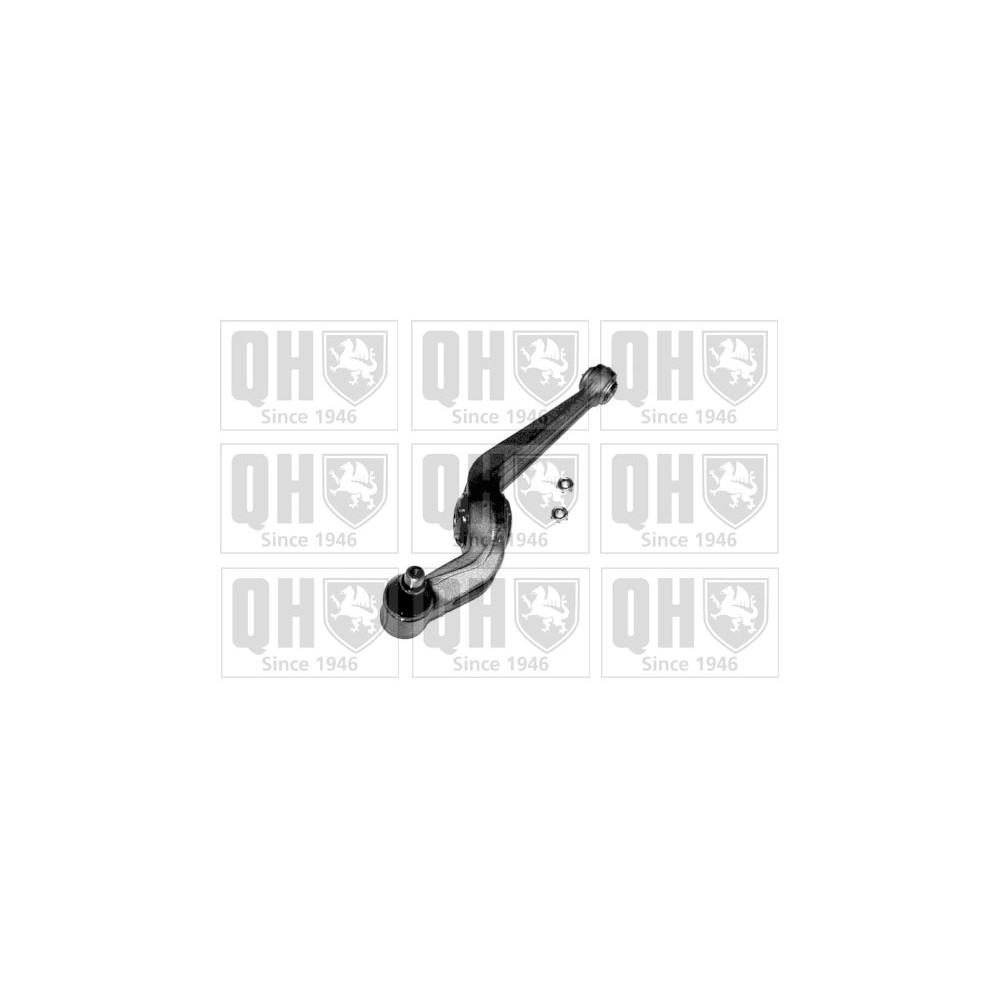 Image for QH QSJ974S Suspension Arm - Front Lower LH