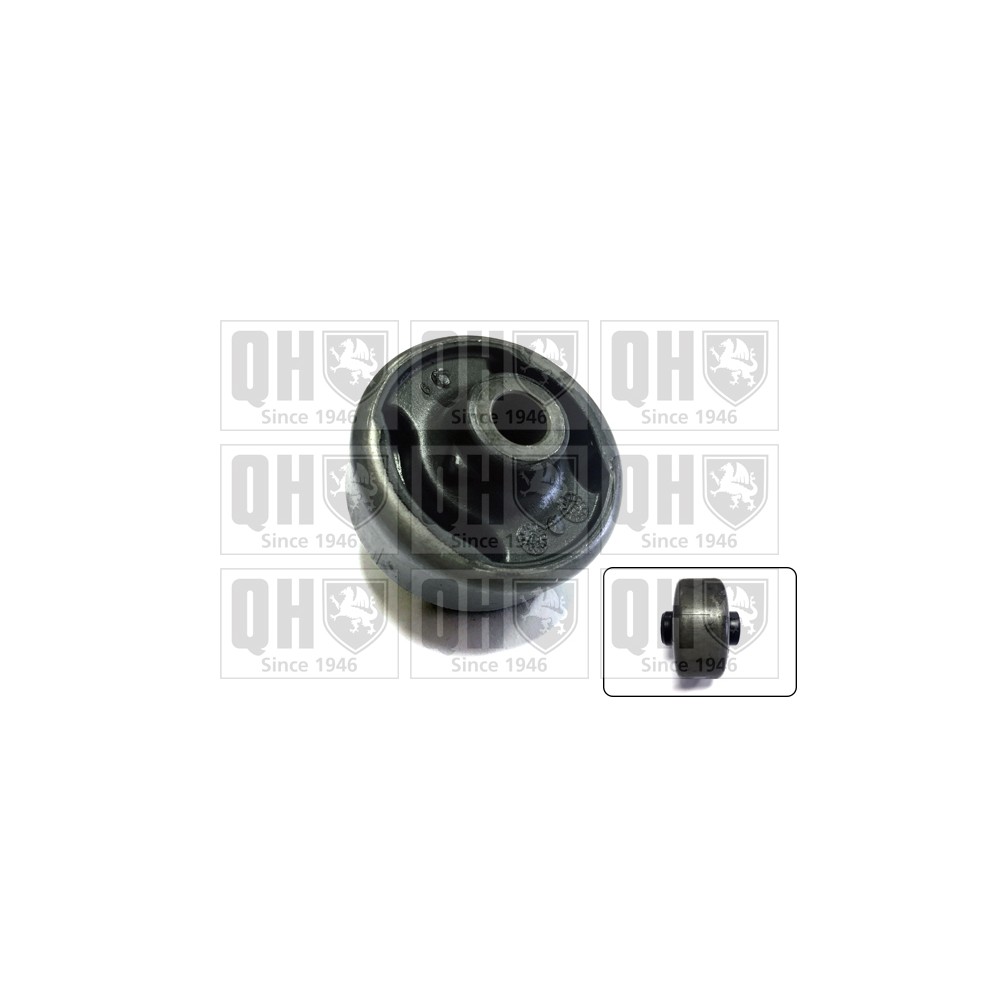 Image for QH EMS2658 Suspension Arm Bush - Front Lower LH & RH (Rear)