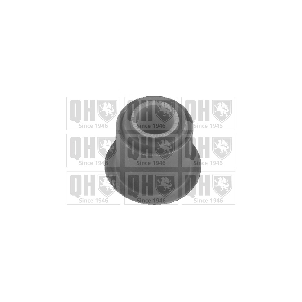 Image for QH EMS8011 Suspension Arm Bush - Front Upper LH & RH (Inner)