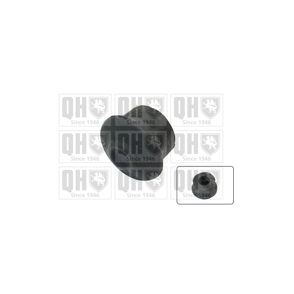 Image for QH EM4496 ENGINE MOUNTING