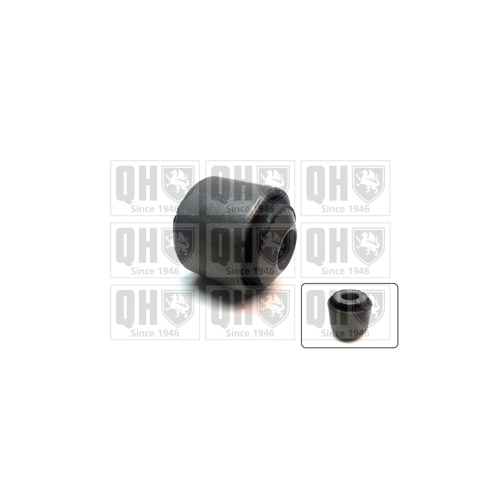 Image for QH EMS8660 Suspension Arm Bush - Rear LH & RH (Upper, Outer, Rear)