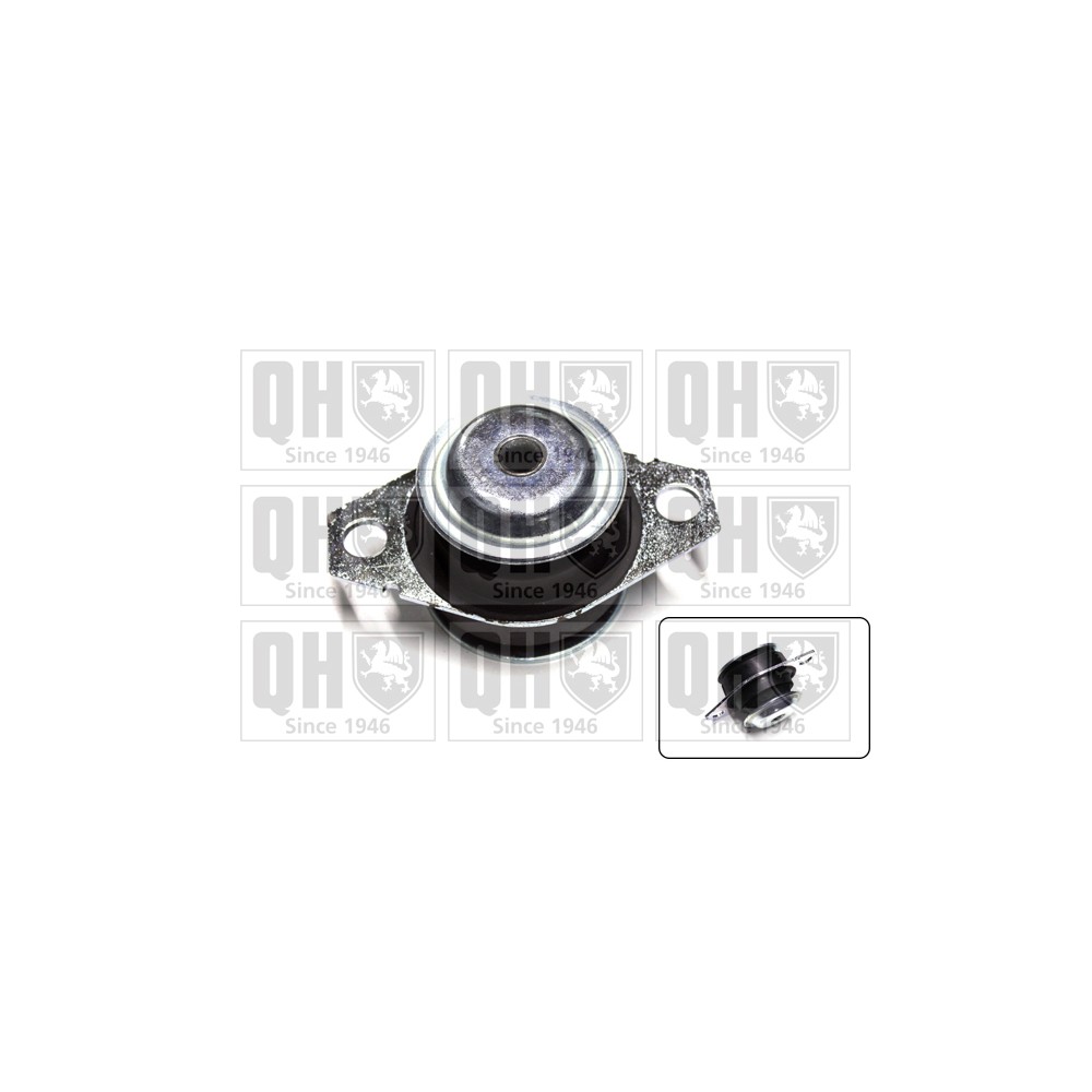 Image for QH EM4057 Engine Mounting