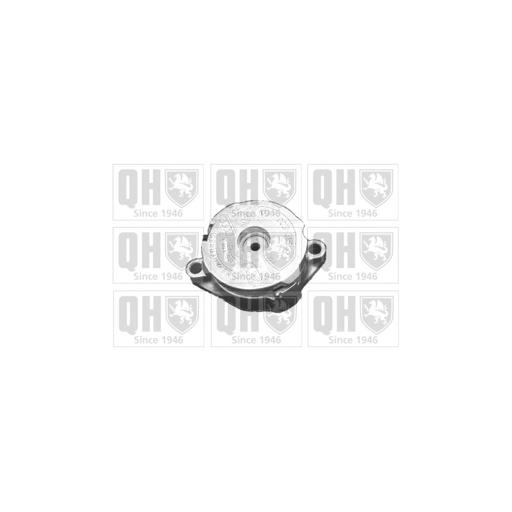 Image for QH QTA894S Drive Belt Tensioner