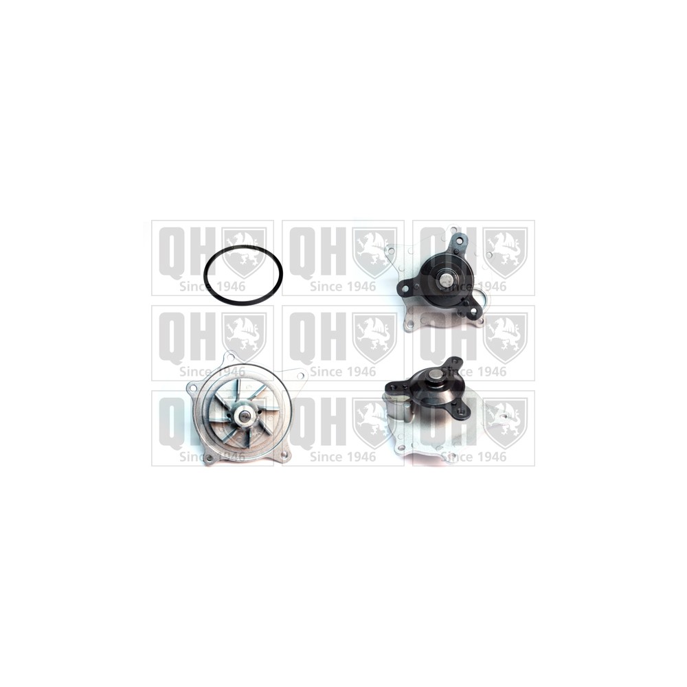 Image for QH QCP3872 Water Pump