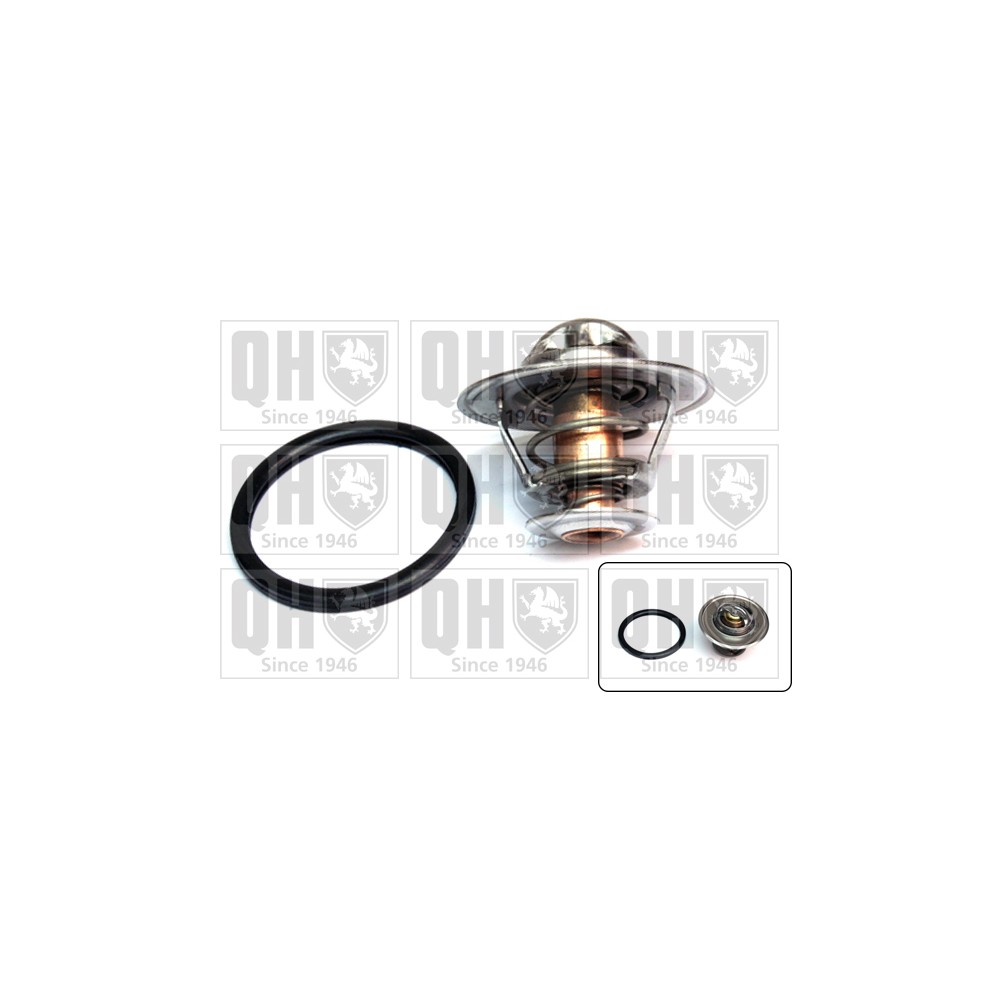 Image for QH QTH469K Thermostat Kit