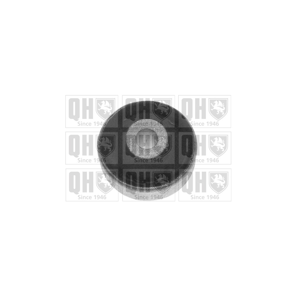 Image for QH EMS2659 Suspension Arm Bush - Front Lower LH & RH (Rear)