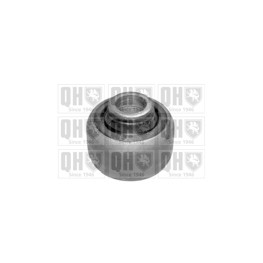 Image for QH EMS8269 Suspension Arm Bush - Front Lower LH & RH (Front)