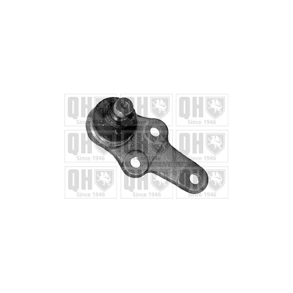 Image for QH QSJ1879S Ball Joint - Front Lower LH & RH