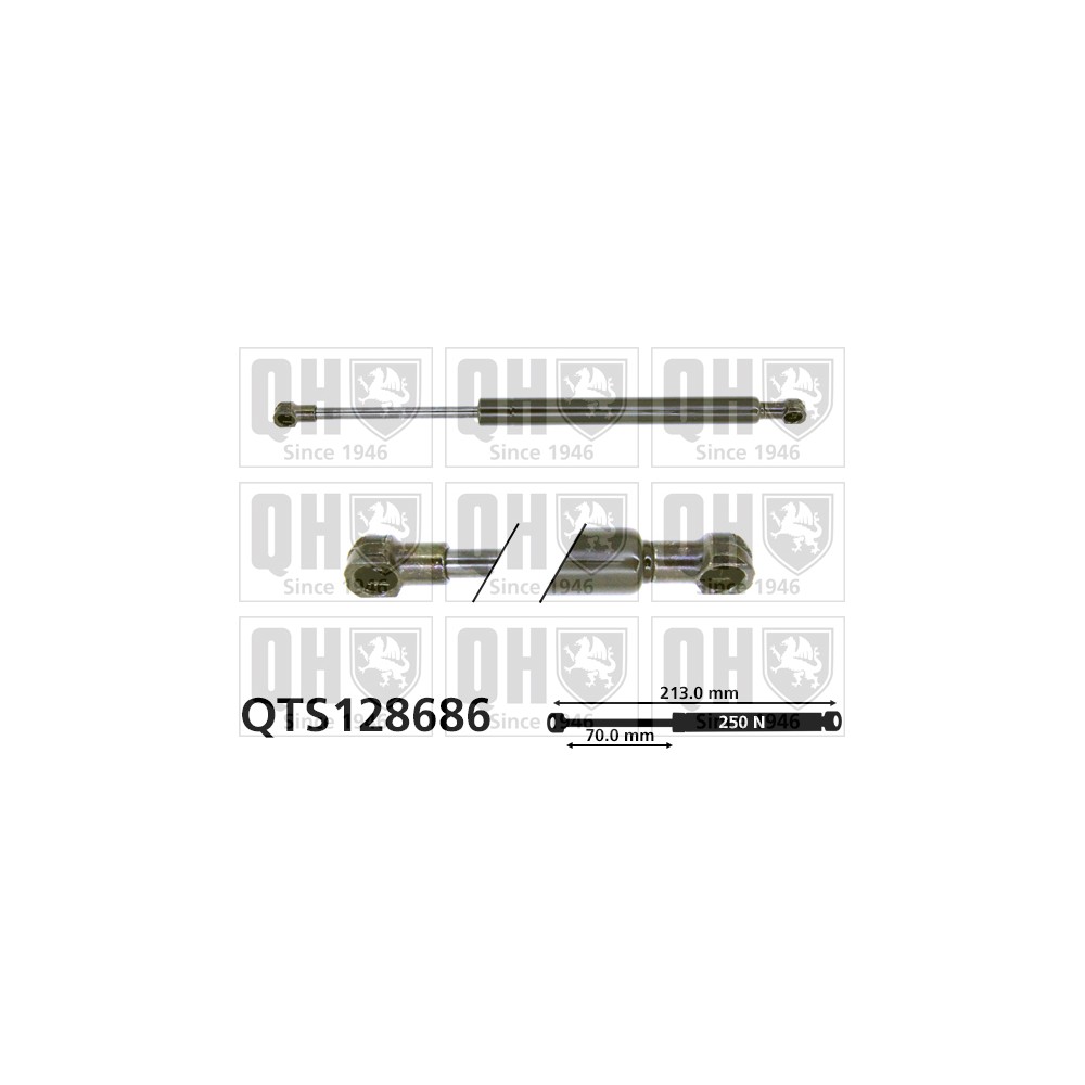 Image for QH QTS128686 Gas Spring