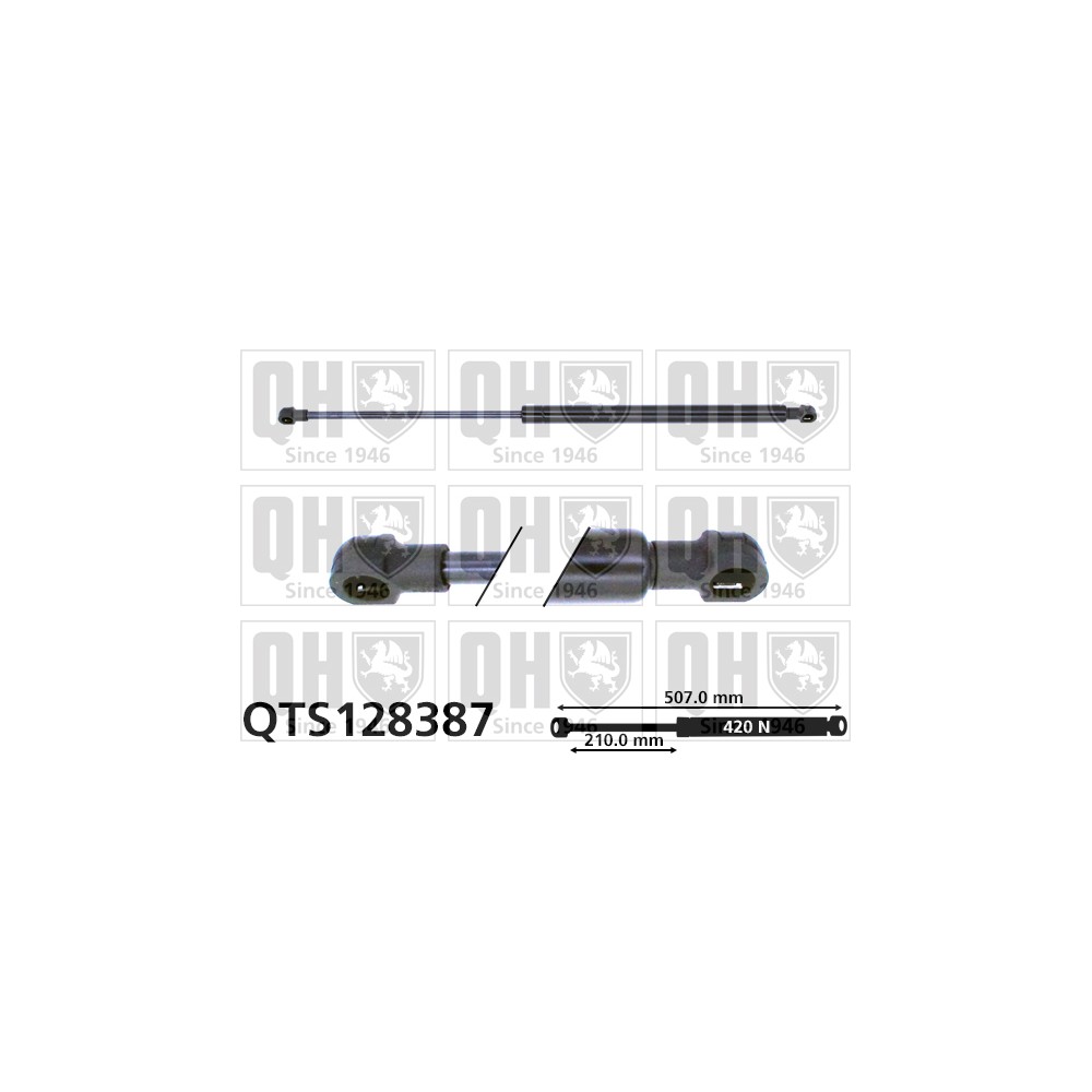 Image for QH QTS128387 Gas Spring