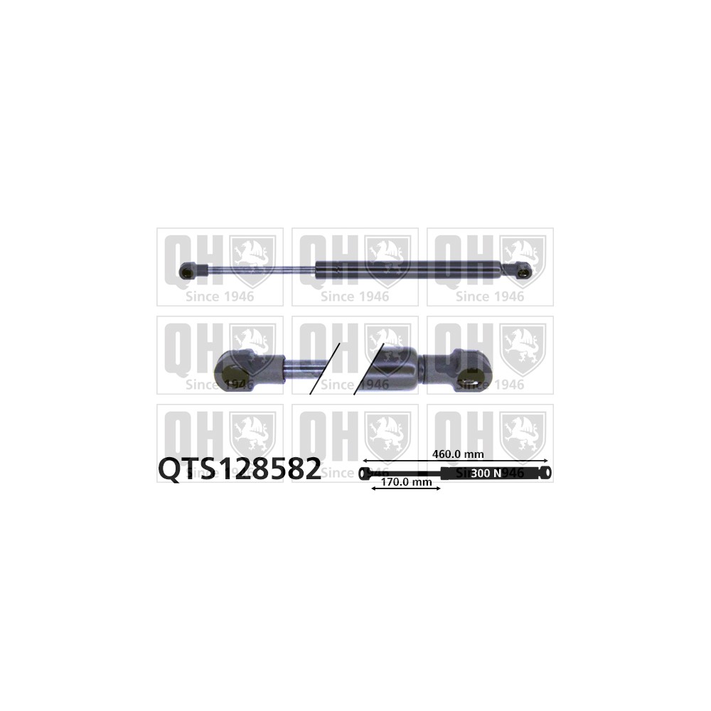 Image for QH QTS128582 Gas Spring