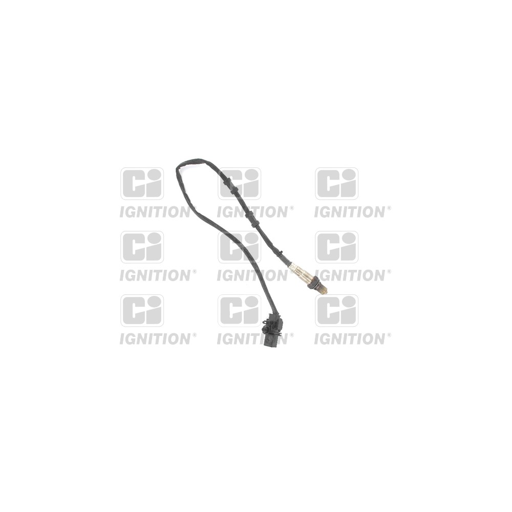 Image for Oxygen Sensor