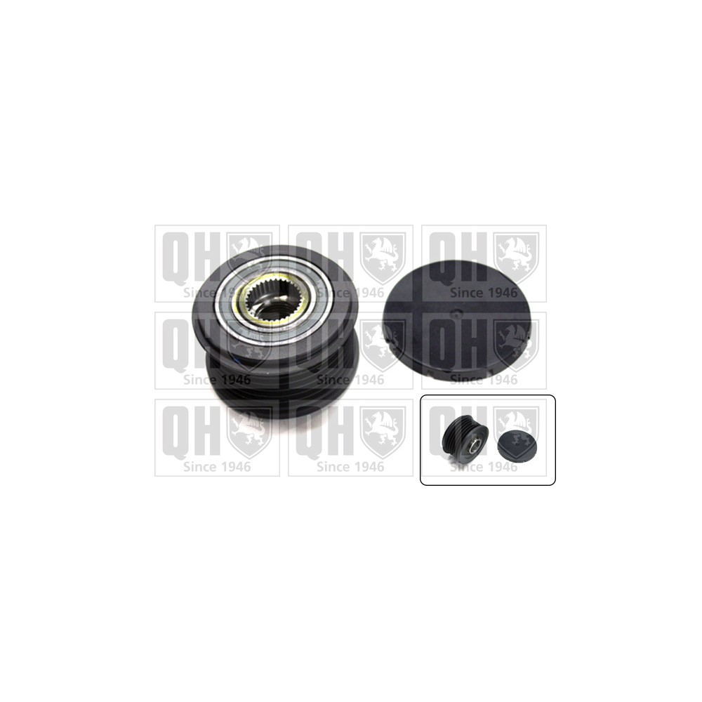 Image for Free Wheel Clutch Pulley