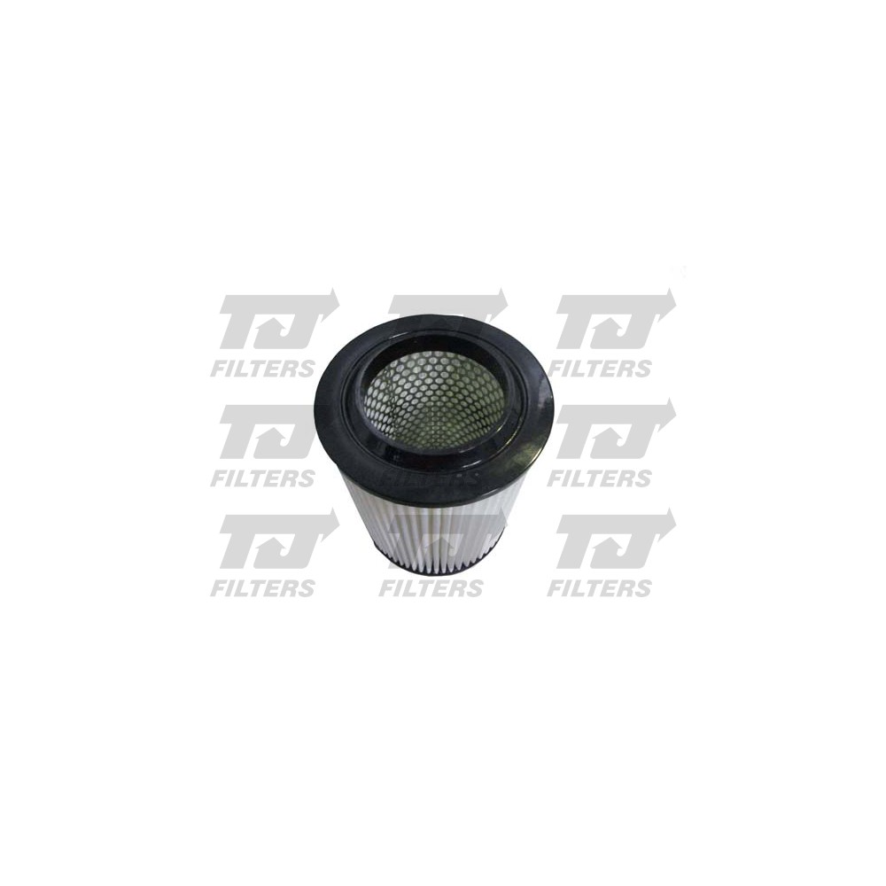 Image for TJ QFA0843 Air Filter