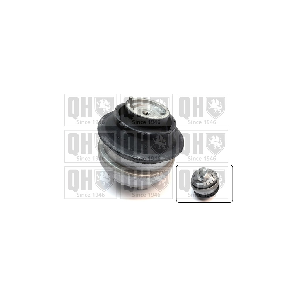 Image for QH EM4799 Engine Mounting