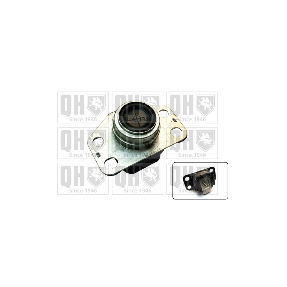 Image for QH EM4629 Engine Mounting