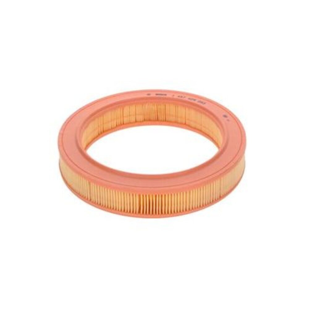 Image for Bosch Air-filter insert S9053