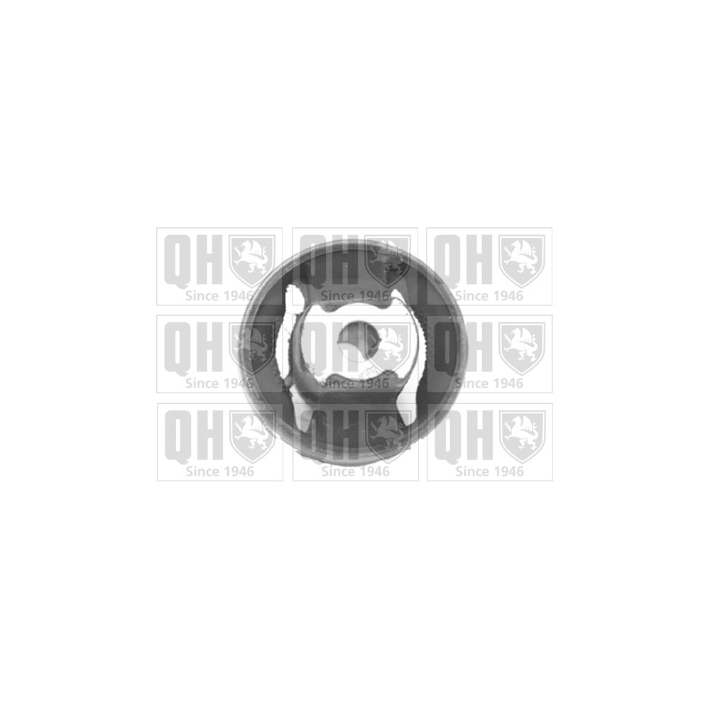 Image for QH EMS8349 Suspension Arm Bush - Front Lower LH & RH (Rear)