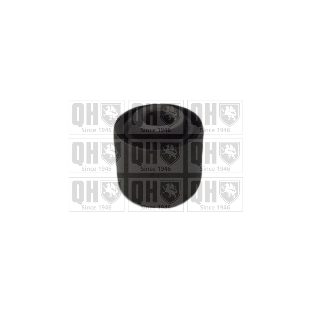 Image for QH EMS8377 Suspension Arm Bush - Rear Upper LH & RH