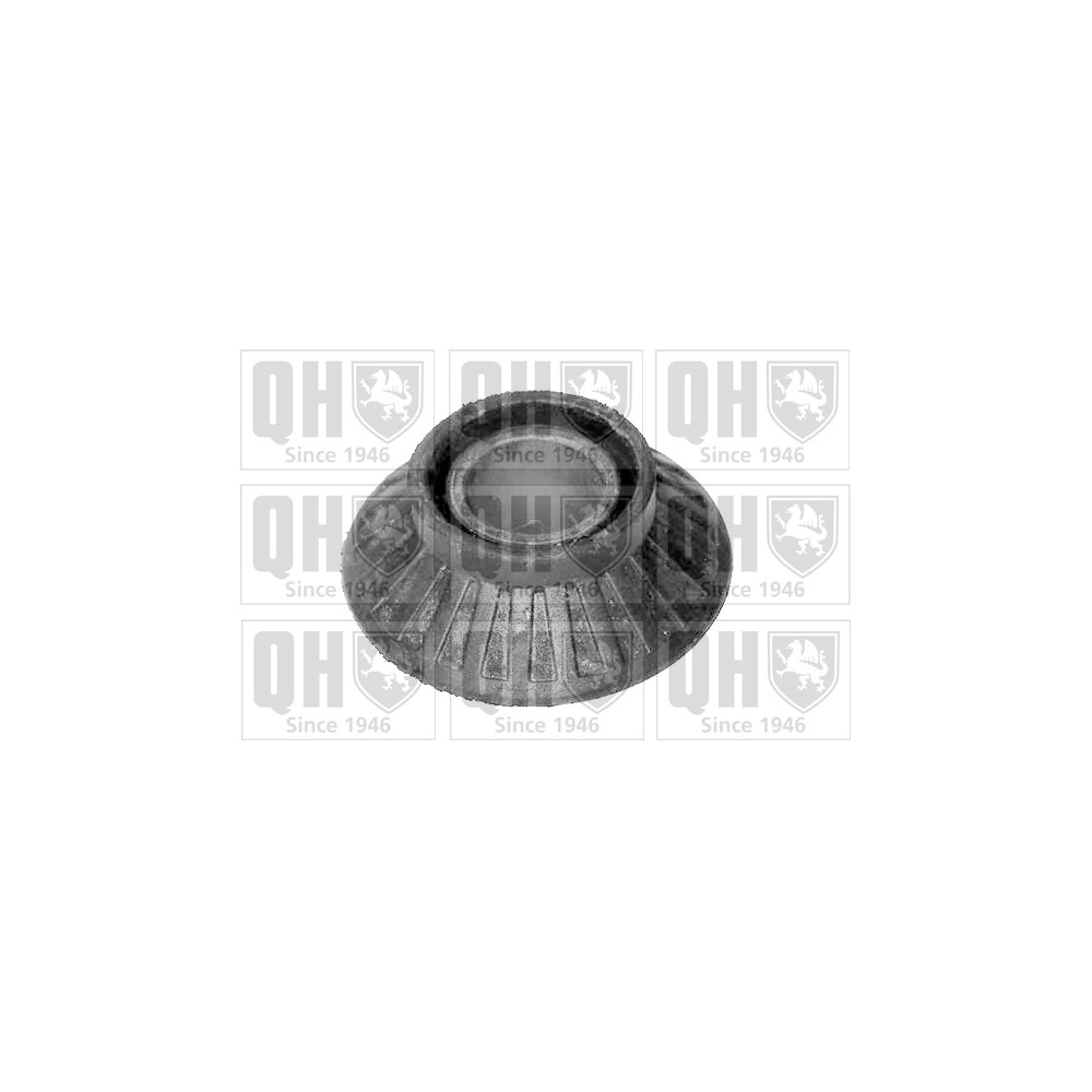 Image for QH EMS2539 Suspension Arm Bush - Front Lower LH & RH (Outer)