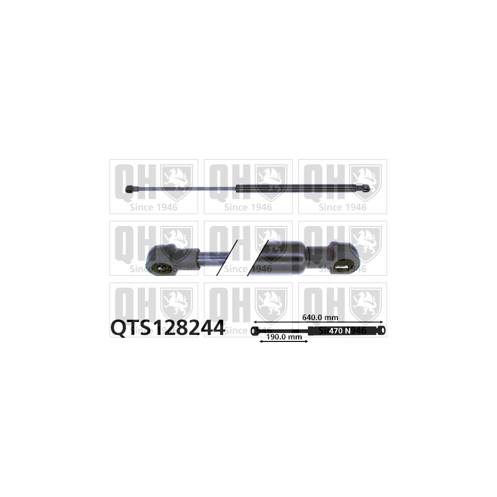 Image for QH QTS128244 Gas Spring