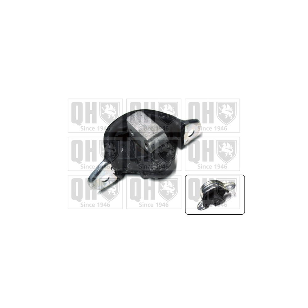 Image for QH EM2811 Engine Mounting