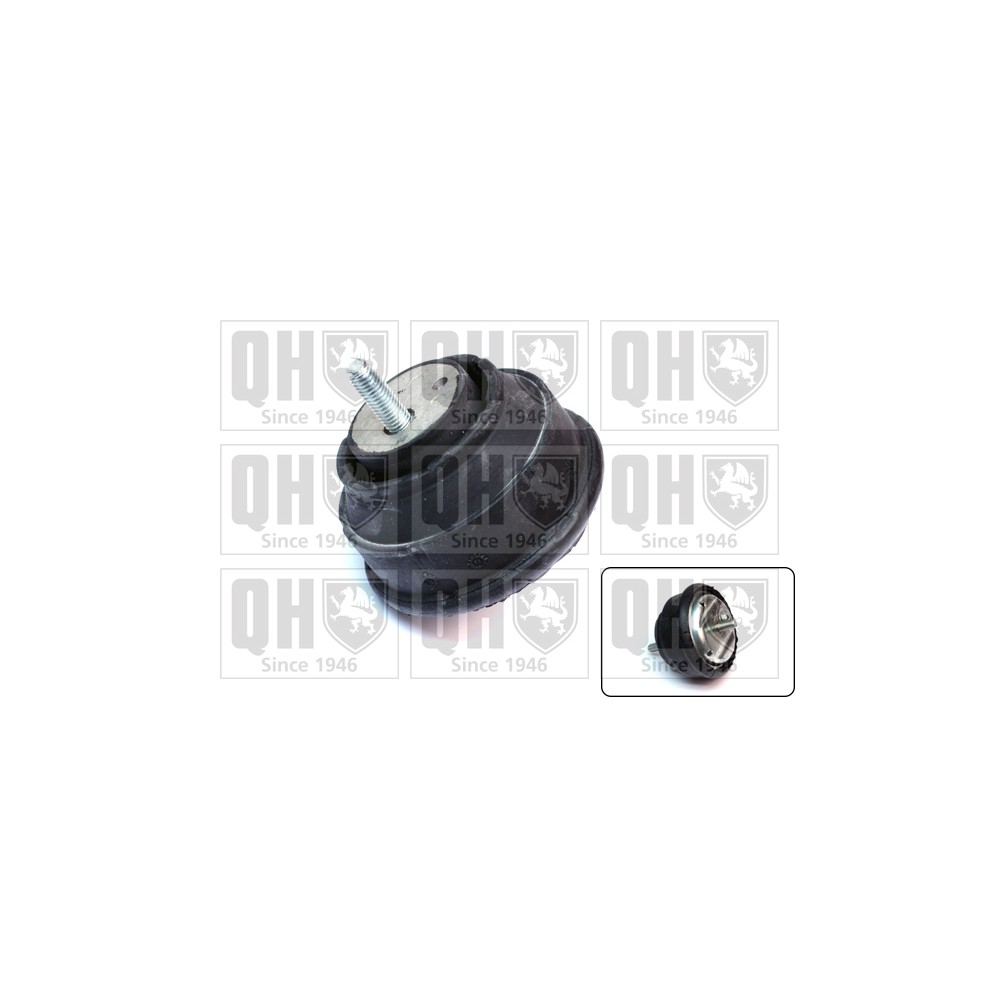 Image for QH EM4075 Engine Mounting