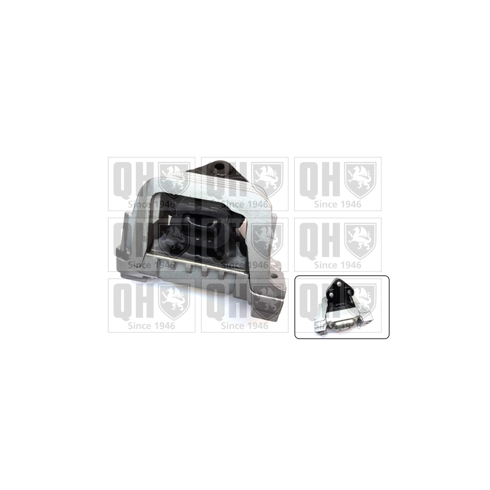 Image for QH EM4674 Engine Mounting