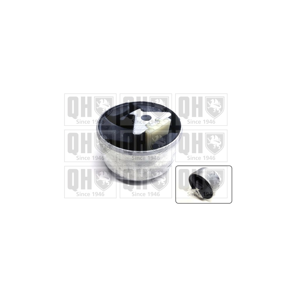 Image for QH EM4803 Engine Mounting