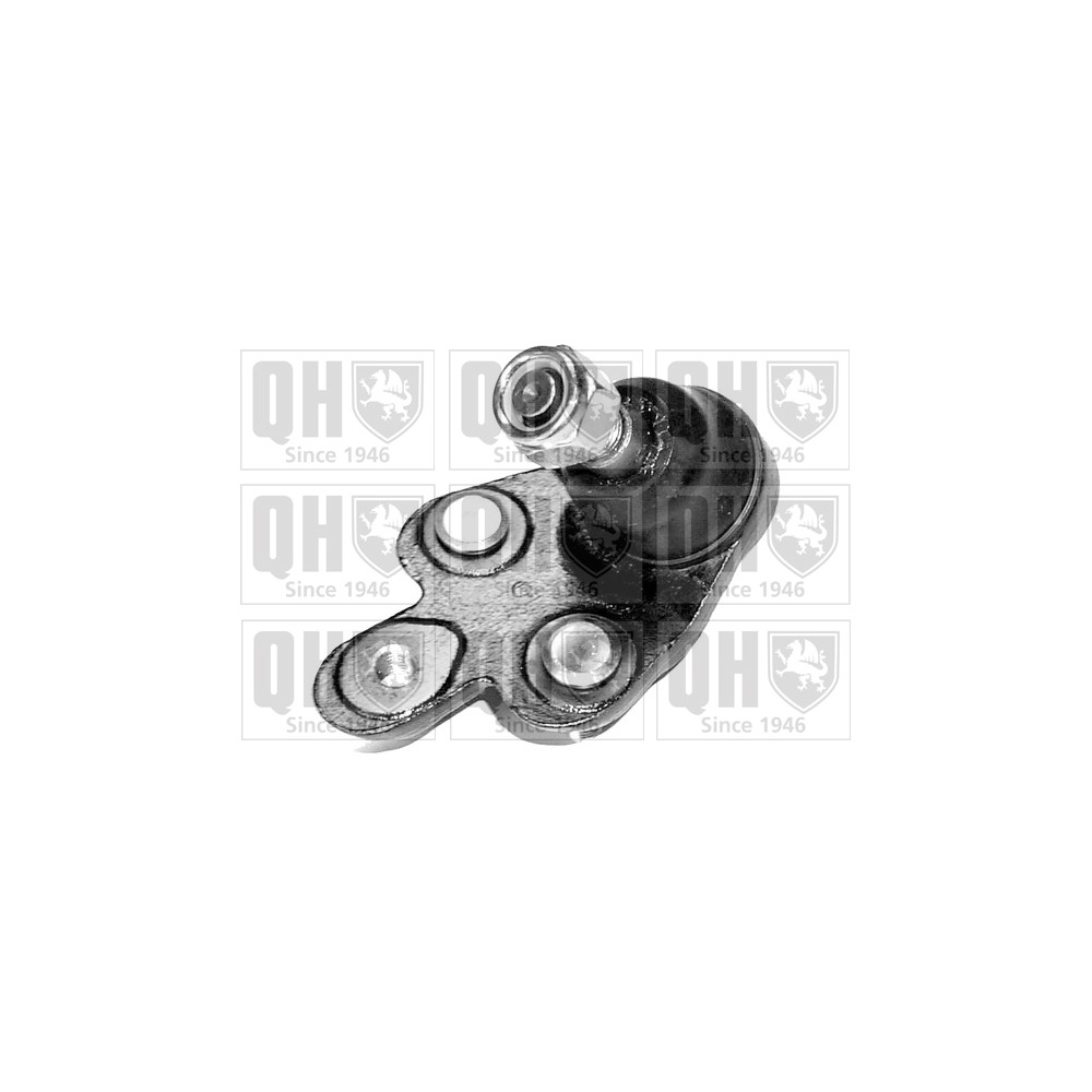 Image for QH QSJ1131S Ball Joint - Front Lower LH & RH