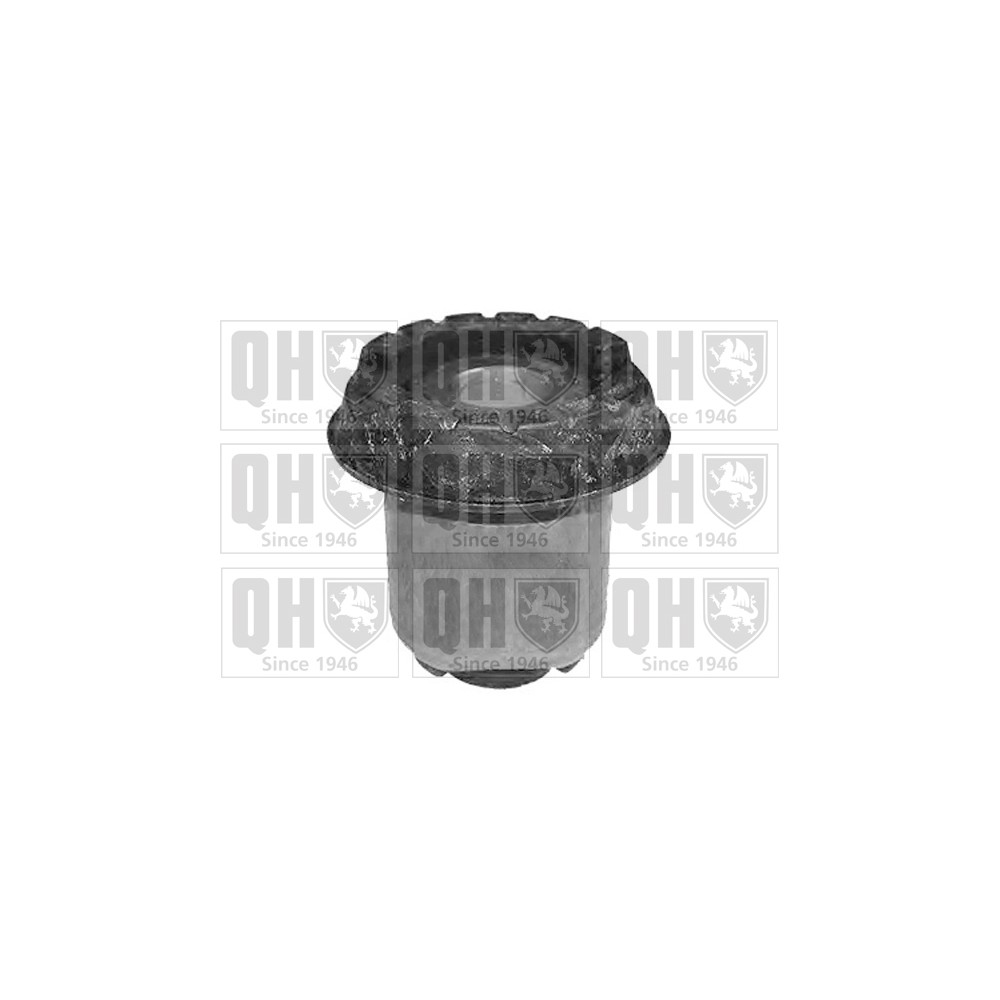 Image for QH EMS8290 Suspension Arm Bush - Rear LH & RH