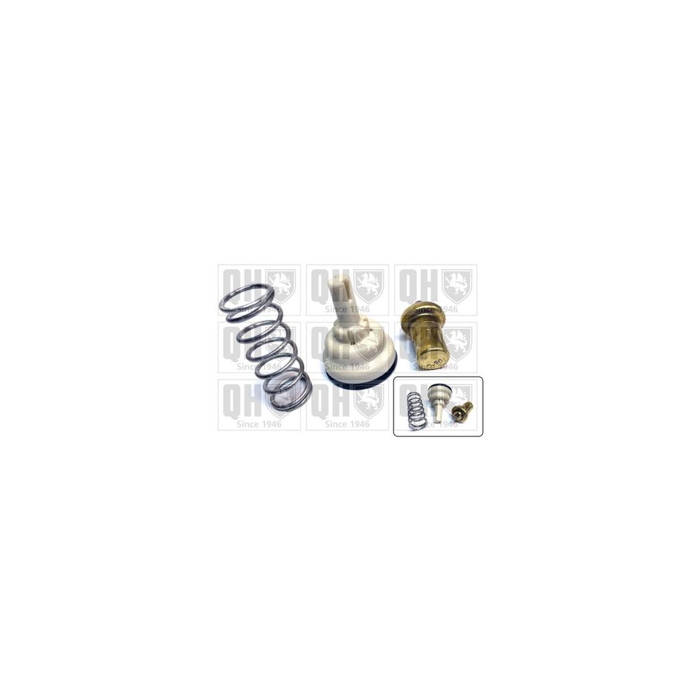 Image for Thermostat Kit