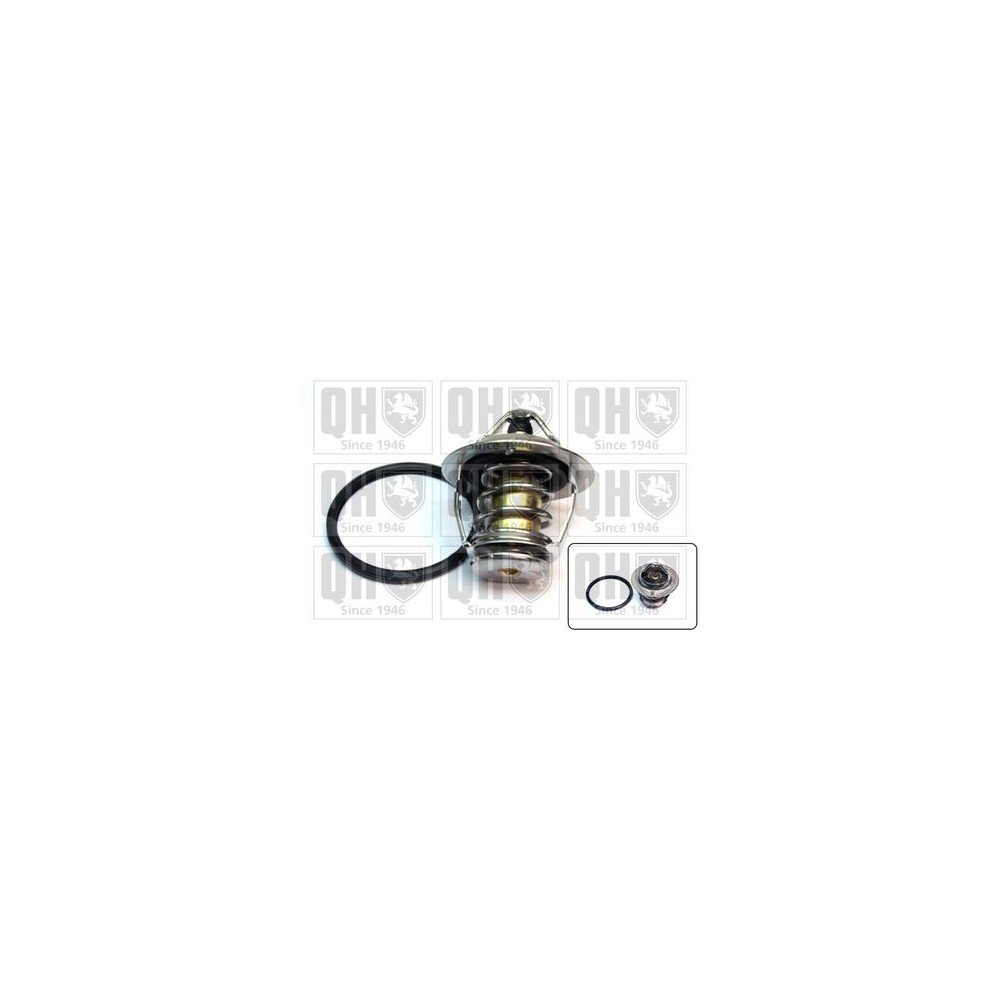Image for Thermostat  Kit