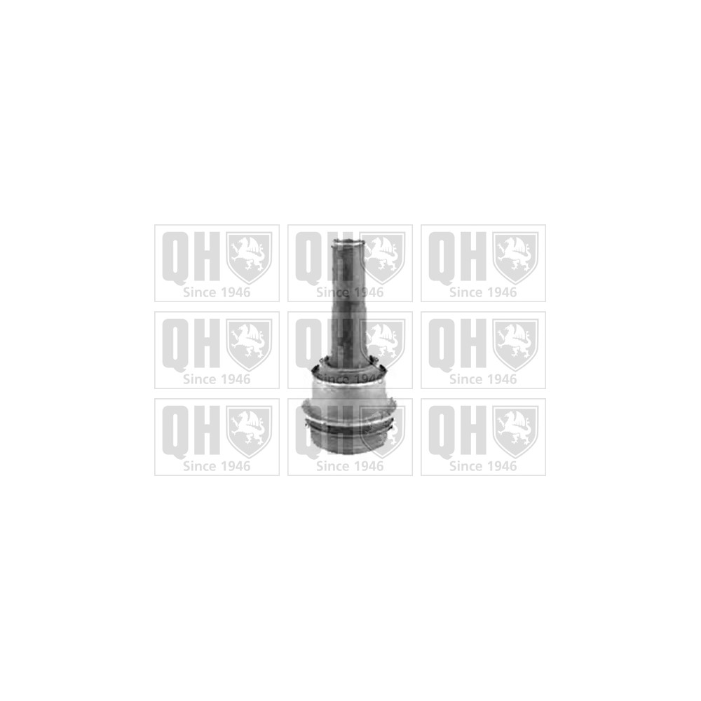 Image for QH EMS8397 Suspension Arm Bush - Front Upper LH & RH