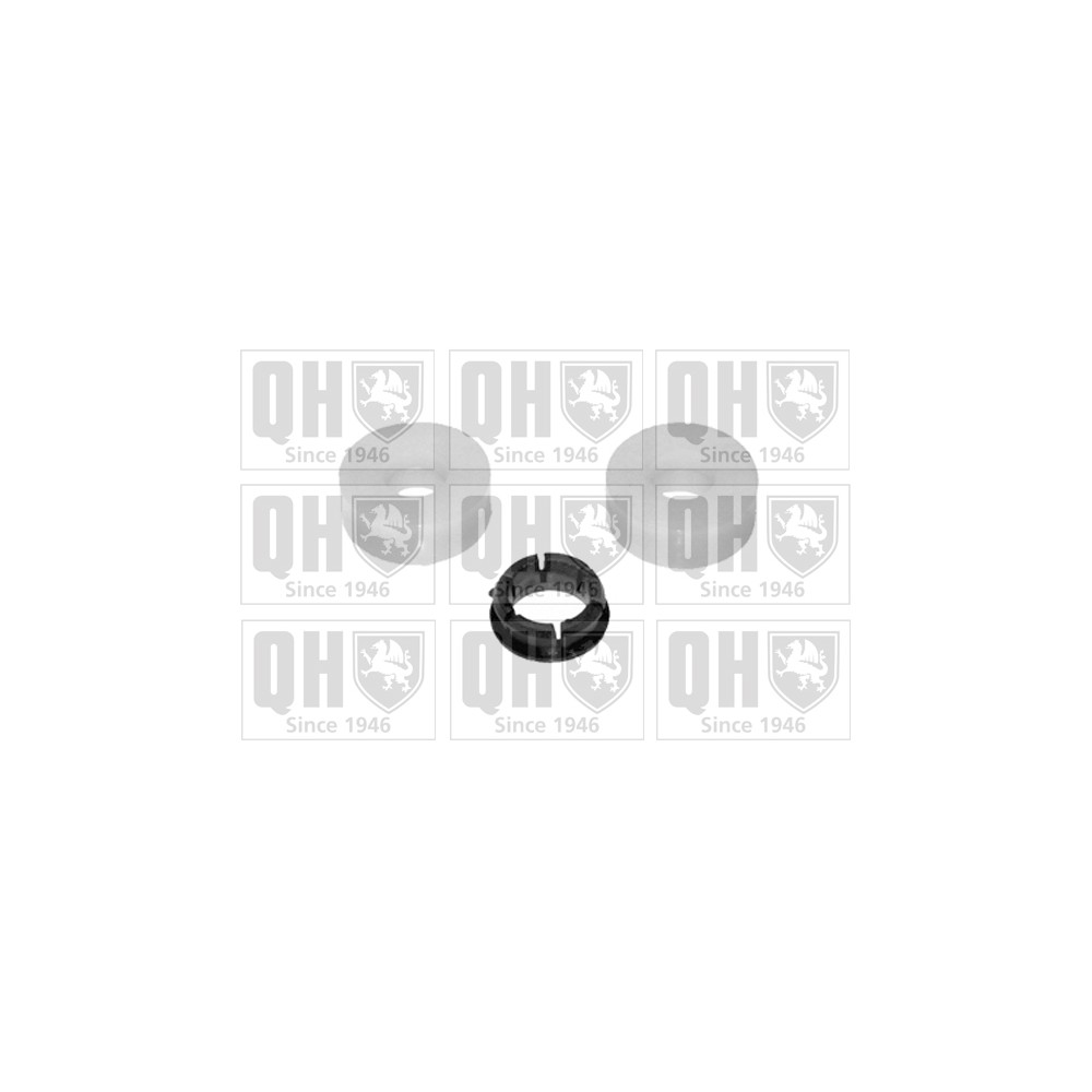 Image for QH EMS1866 Suspension Arm Bush - Front Lower LH & RH