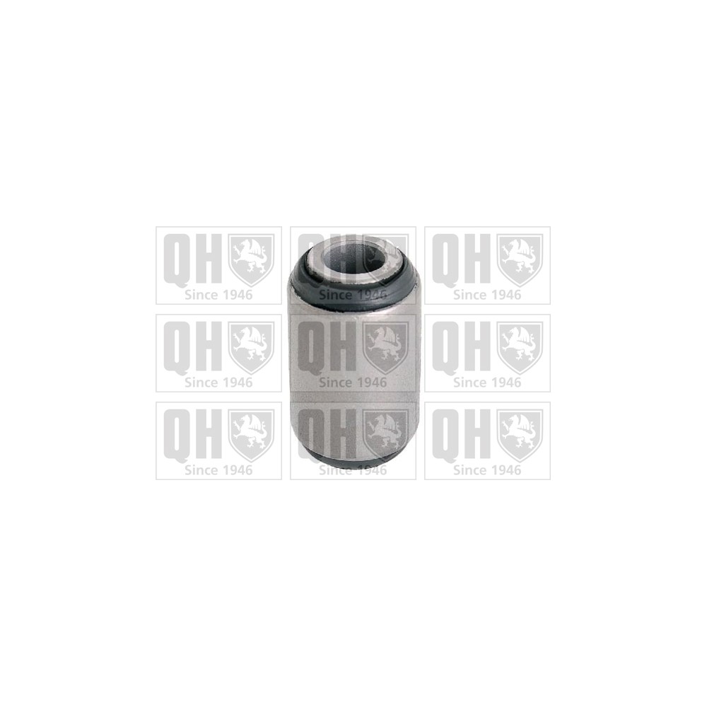 Image for QH EMS8390 Suspension Arm Bush - Front Lower LH & RH (Front)