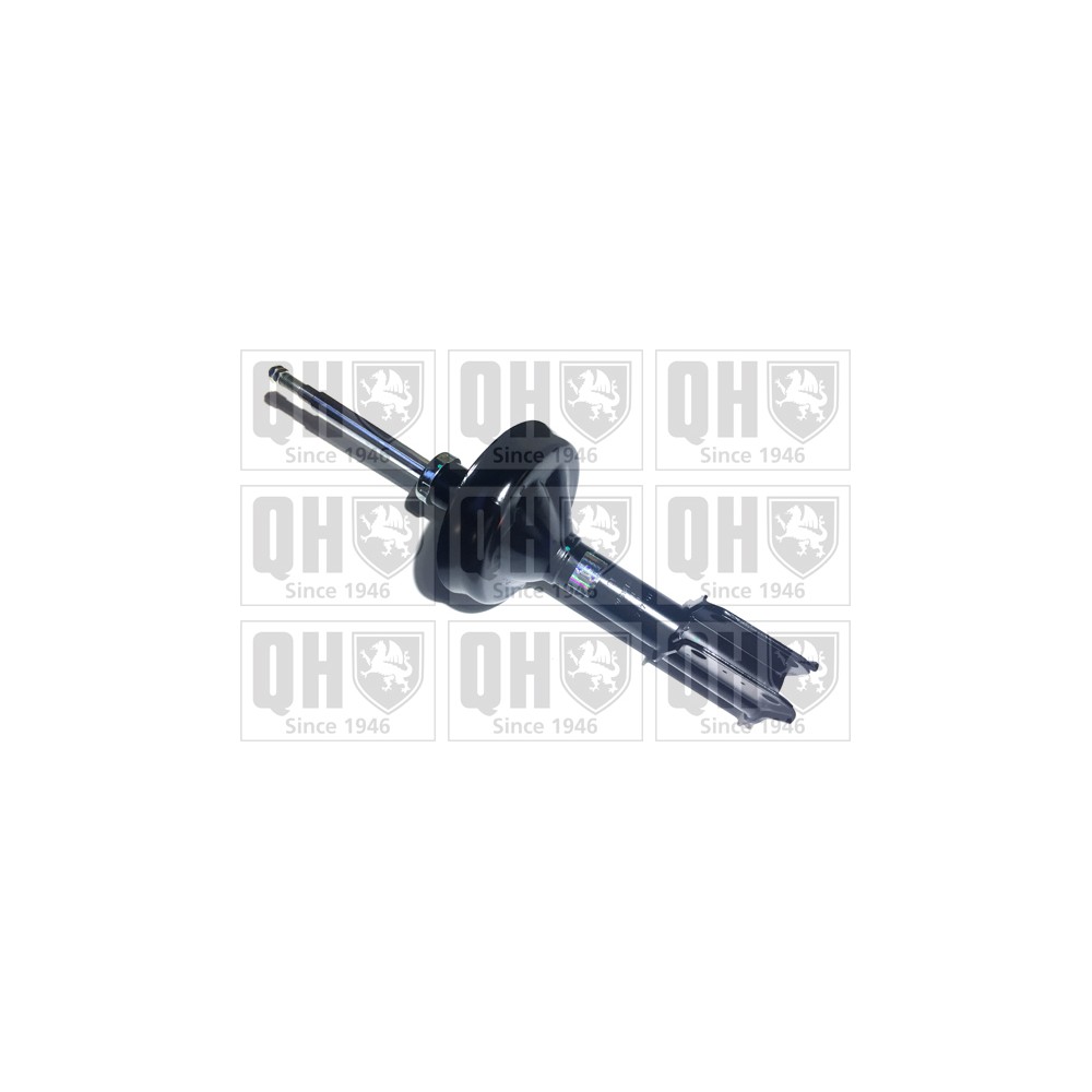 Image for QH QAG181310 Shock Absorber