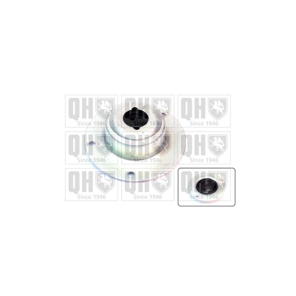 Image for QH EMR1785 Top Strut Mounting - Rear exc.Bearing LH & RH