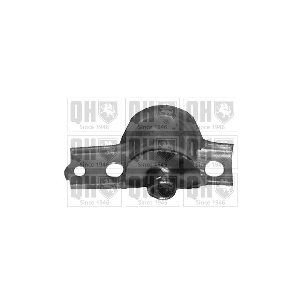 Image for QH EMS8048 Suspension Arm Bush - Front Lower LH & RH (Rear)