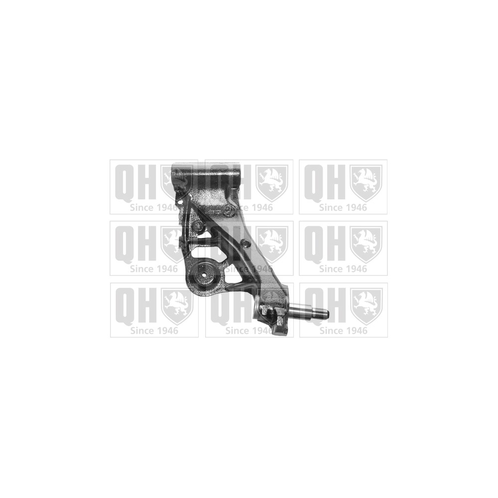 Image for QH QSJ1914S Suspension Arm - Rear Lower RH