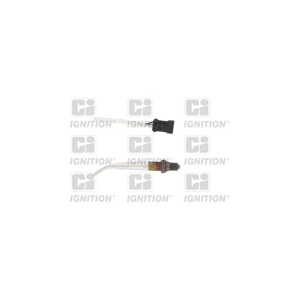 Image for Oxygen Sensor