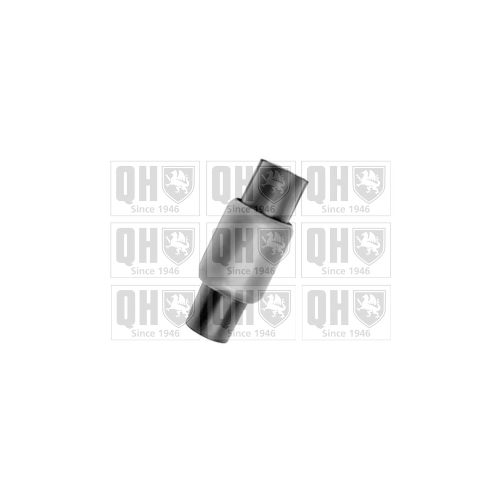 Image for QH EMS8308 Suspension Arm Bush - Rear Upper LH & RH