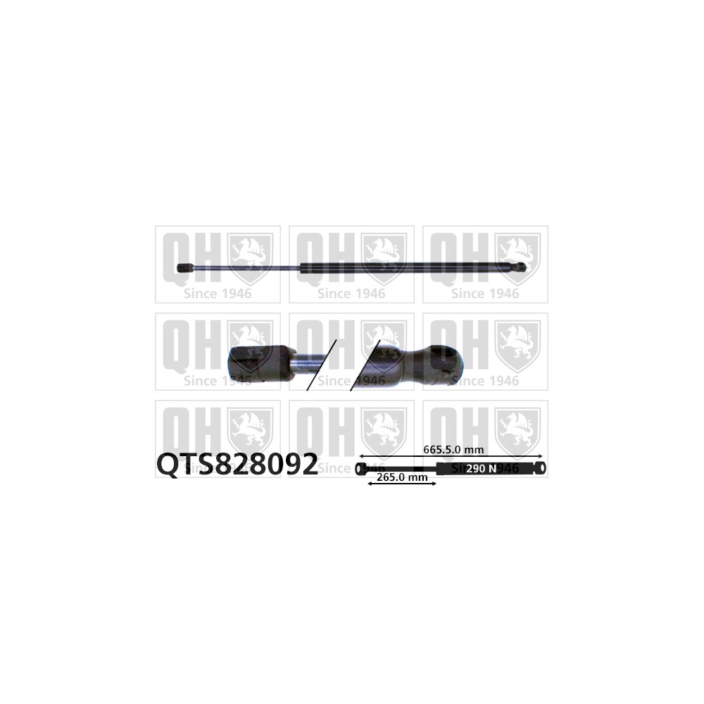 Image for QH QTS828092 Gas Spring