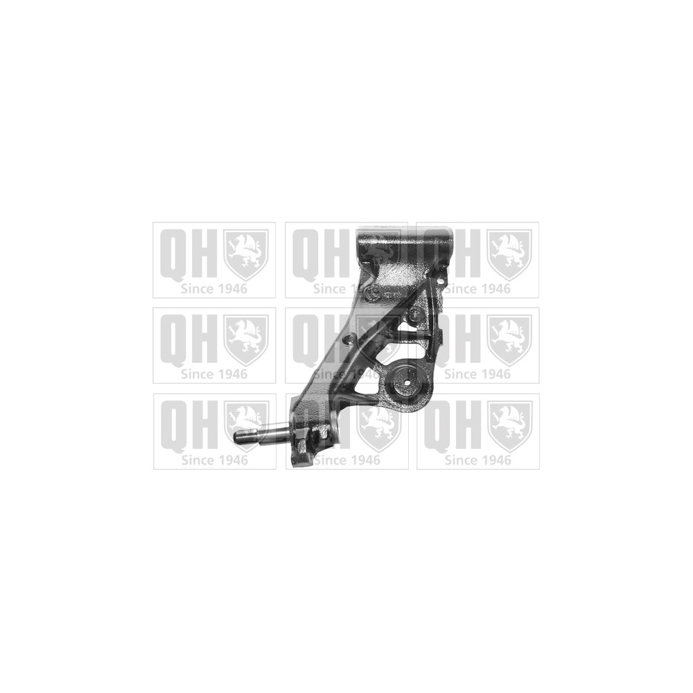 Image for QH QSJ1913S Suspension Arm - Rear Lower LH