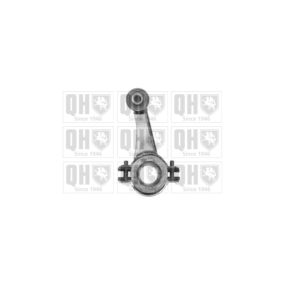 Image for QH QLS3544S Stabiliser Link - Front LH