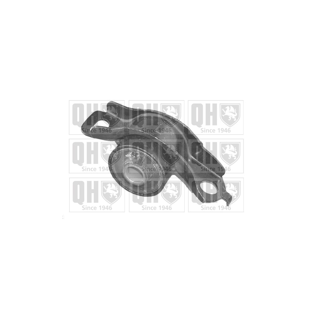 Image for QH EMS8058 Suspension Arm Bush - Front Lower LH (Rear)