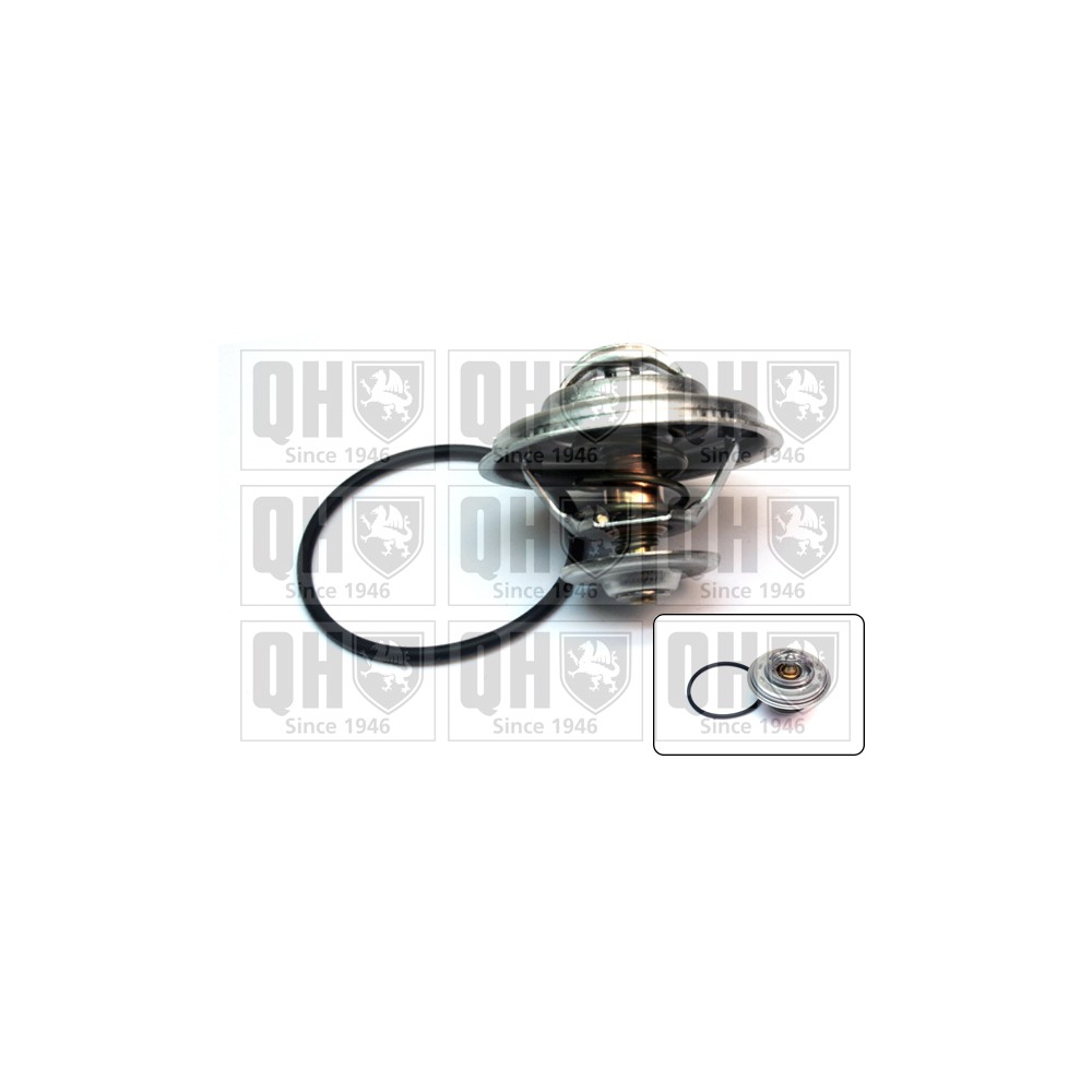 Image for QH QTH213K Thermostat Kit