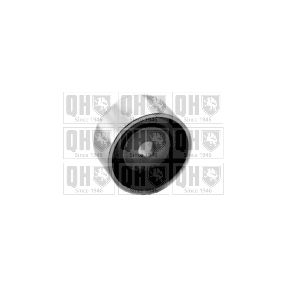 Image for QH QTT333 Timing Belt Tensioner