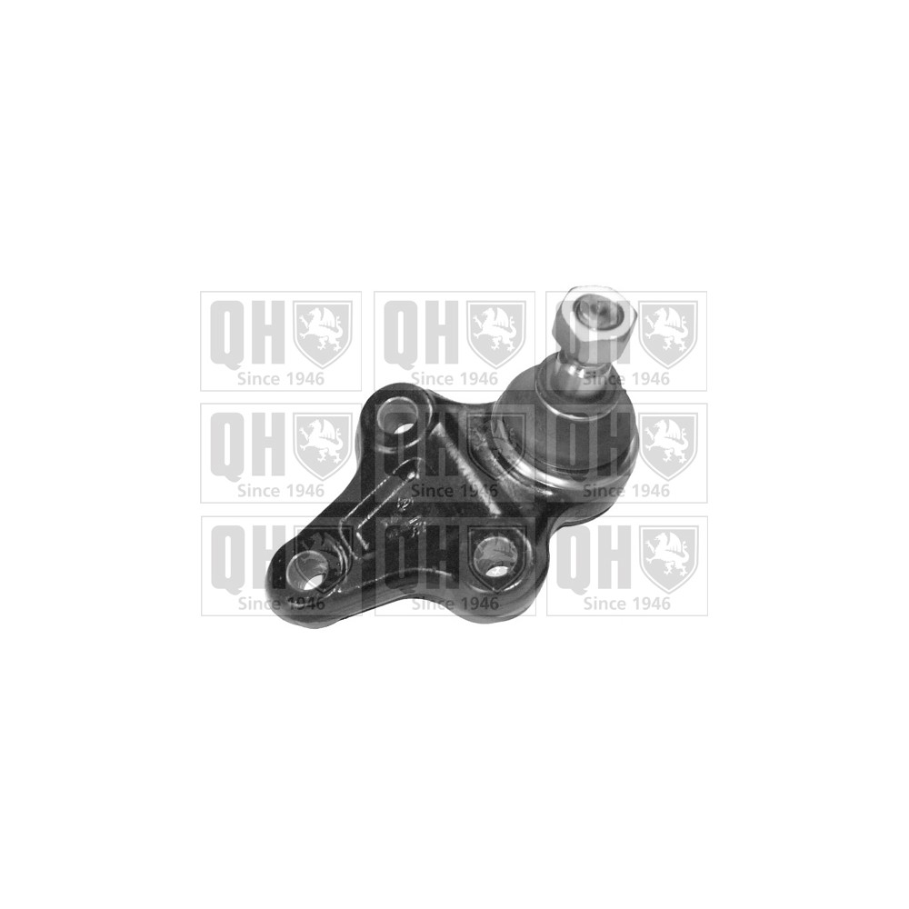 Image for QH QSJ9316S Ball Joint - Front Lower LH & RH