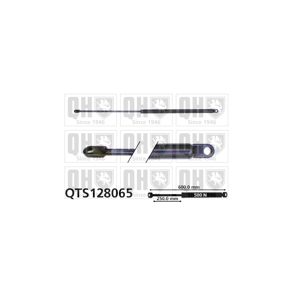 Image for QH QTS128065 Gas Spring